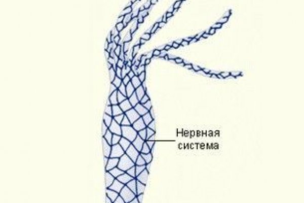 Hydra маркетплейс