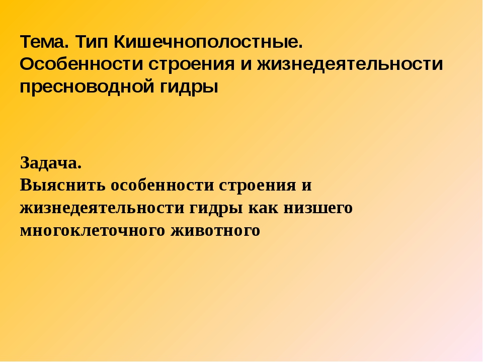 Сайт кракен не работает почему