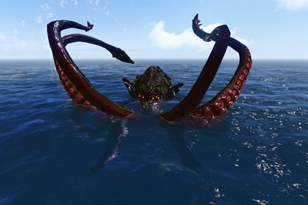 Kraken marketplace