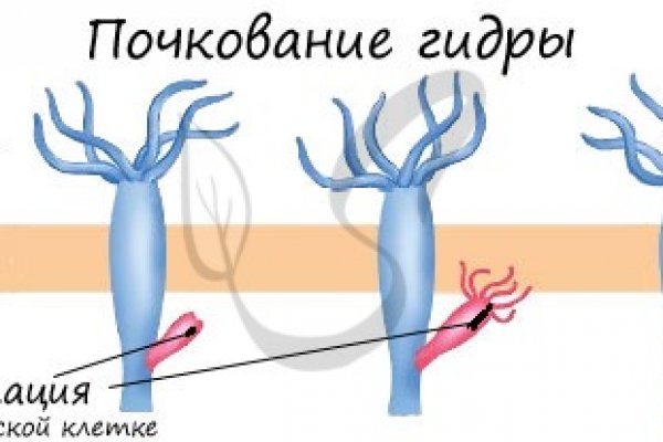 Сайт кракен через тор