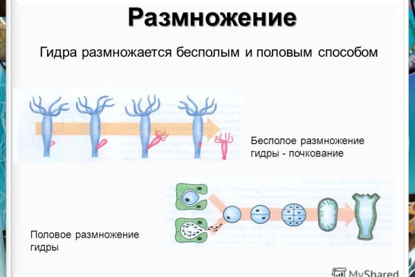 Кракен ссылка стор