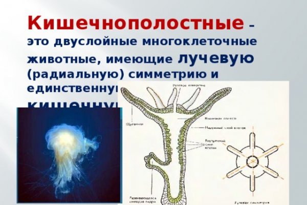 Кракен какой сайт