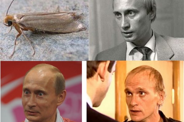 Как зайти на кракен браузеры
