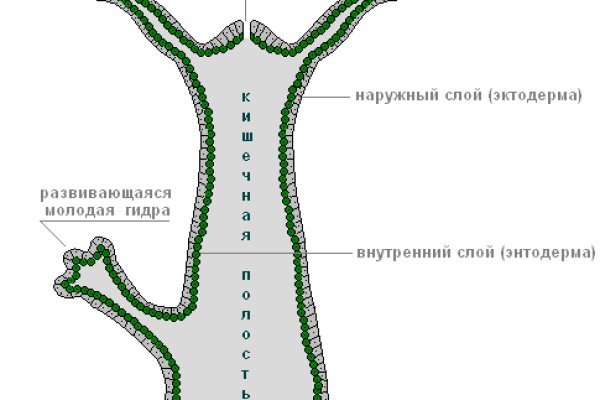 Кракен зеркало рабочее на сегодня krakenat2krnkrnk com